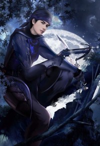 豹宠之豹王西傲(又名:找只黑豹当夫君)