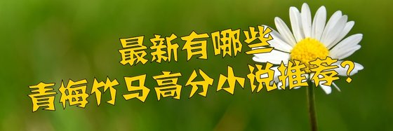最新有哪些青梅竹马高分小说推荐？